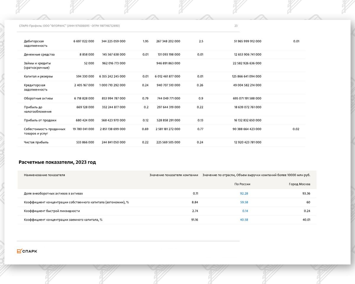 Выписка из СПАРК-Интерфакс (финансовые показатели) по компании ООО «ФЛОРАНС» (Страница 16 из 17)